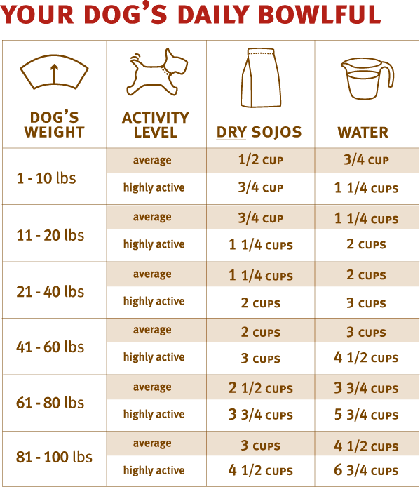 Feeding chart outlet